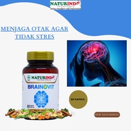 Brainovit obat menjaga otak agar tidak stres