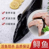 Edible Sturgeon Spring Water Ecological Culture Fish Sturgeon Sturgeon Arowana Cartilage Non-Stinger