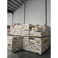 Rockwool Soundproofing