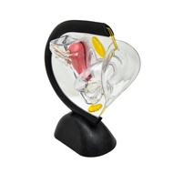 【Trending】 Female Reproductive System Model Transparent Uterus Model Female Anatomical Model For Tea