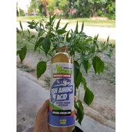 FISH AMINO ACID(FAA) AB GONCANG