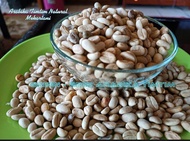 Bibit biji kopi Arabika Ateng super kemasan 1kg siap tebar dari biji kopi pilihan hasil sortiran
