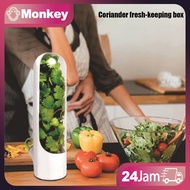 Vegetable Spice Storage Container Herb Storage Container Celery Oniondaun Basil Herb Keeper Vegetabl