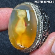 Agate Ring Denriticnatural (Natural Original)