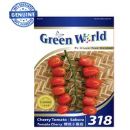 318 CHERRY TOMATO - SAKURA Tomato Cherry
