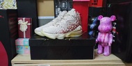 Lebron 17 winwin us10.5