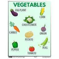 A4 Laminated Educational Posters, Fruits and Vegetables. Learning Charts For Kids