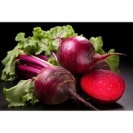 Organik Ubi Bit Beet Root Cameron  (1KG ,About 2~7biji )