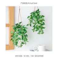 ️ Simulation Hanging Pot Plant Basket Green Dill Leaf Red Palm Home Decoration Potted Wall Pendant F