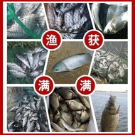 热卖推荐肥水老塘添加剂诱鱼剂黑坑偷驴抢鱼野钓鲤鱼鲫鱼100毫升Feishui Laotang Additive Fish Trap Black Pit Steal Donkey GrabM1