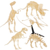 6 Pieces Dinosaur Fossil Skeleton Building Kit Detailed Dinosaur Skeleton Kit Fossil Reproduction Pr
