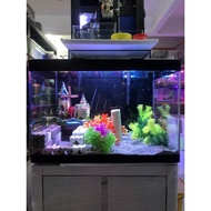 Aquarium 1.5ft 18cm 18cm