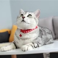 PET BELL NECKLACE CAT NECKLACE PET BELL NECKLACE CAT NECK NECKLACE