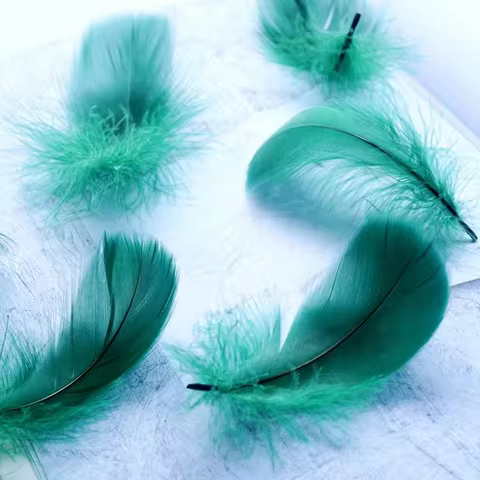 2000Pcs Small Goose Feathers 5-7/7-12CM Swan Feather for Crafts Wedding Party Jewelry Dreamcatcher M