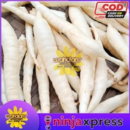Umbi garut obat lambung Umbi garut asli Umbi garut 1 kg Umbi garut oriflakes Umbi garut segar Umbi g
