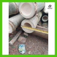 REG_ BAMBU PETUNG BULAT UTUH BAHAN LAYANG2 PANJANG 1 METER AJIR KERAJINAN DLL