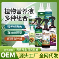 Plant Nutrition Liquid Universal Root Liquid Powder Bowl Lotus Blossom Powder Plant Flower Fertilize