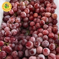 Buah anggur red globe 1 krat / Buah anggur import