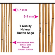 Rotan Budak (READY STOCK)Stick Rattan /Rotan Kanak-Kanak /