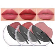 DAGEDA 3-Color Lipstick Set, Matte Velvet Lazy Lipstick Lip Shape, Long-Lasting High Coloring Non-St