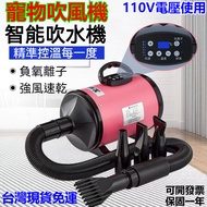 Taiwan 110V Pet Hair Dryer Water Dog