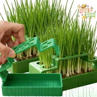 [GUUDUU] Plant Water Cultivating Box - Scallion Hydroponic Planter - Soilless Cilantro Growing Pots 