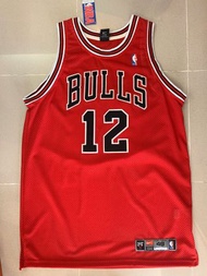 NBA 球衣 Kirk Hinrich 簽名 球衣  Bulls 公牛AU Autographed Nike