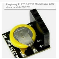 DS3231 Module RTC Raspberry Pi / Real Time Clock Module arduino nodemcu wemos esp32 esp-32 d1 mini M