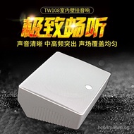 Hivi/Huiwei TW108Wall-mounted Speaker Fixed Voltage Wall-Mounted Speaker Wall-mounted Speaker Consta