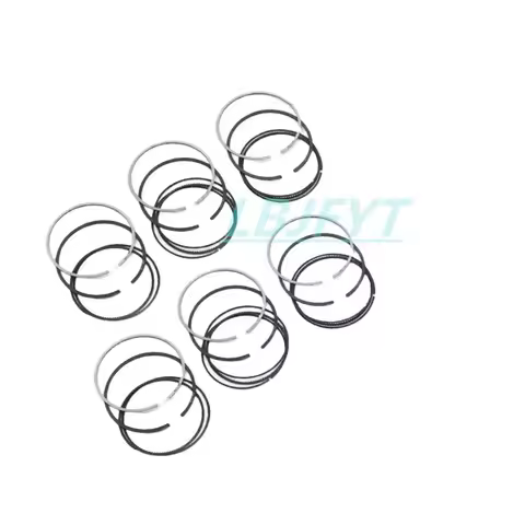 6×Piston Rings for BMW 325i 330i 525i 530i 730i X5 X6 M54 B25 B30 E46 E39 84mm 11257506252 112575116