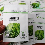 Benih Bibit Selada Batavia MYRTEL - Bejo Seed