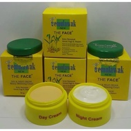 The Face Cream Temulawak