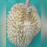 Terlaris Durian Montong Utuh Manis Ready