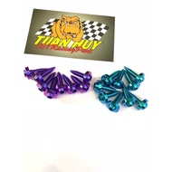 Ya 5li18 spiral gr5 titanium screw for yamaha sirius exciter and vario exhaust screws (titanium scre