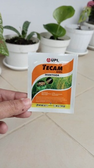 Insektisida Regent/Tecam 80 WG per 1 sachet Racun semut koloni semut mati 1 sarang