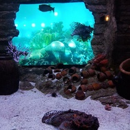 Aquaria KLCC Admission E-Ticket Until 31 July 2021 For Non Malaysian