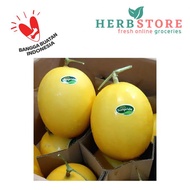 Melon golden sunpride per buah