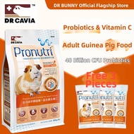 DR BUNNY | Guinea Pig Food Probiotics Vitamin C Pellets