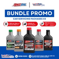 [Bundle] AMSoil Car Servicing Packages | Engine Oil Service Promo With Complimentary Services