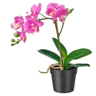 STOCK- FEJKA Artificial potted plant, Orchid LILAC 9 cm