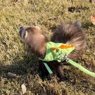 GUADALUPE Ferret Vest Harness, Dragon Design