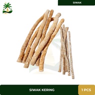 Siwak Kering Murah Besar