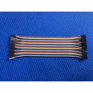 Dupont Line 20cm Double-Headed Female to Female 40 Pieces in One Set