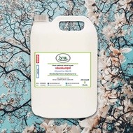 501/Glycerine (Food Grade) 5kg Glycerine R-pro