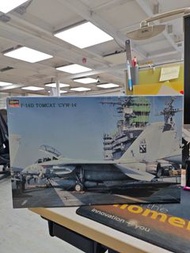 Hasegawa F-14D Tomcat 模型