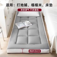 🚚包送貨 打地鋪榻榻米床墊 約8cm厚