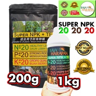 🔥🔥SUPER NPK 20:20:20 Growth Fertilizer | 🔥🔥Baja Organik Booster Tanaman | Baja Pertumbuhan Pokok Bunga Buah Sawit