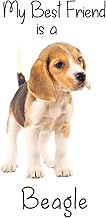 My best Friend is a Beagle (Squared Paper): 6" x 9" Blank Quadrille (quad) ruled Journal Notebook 12