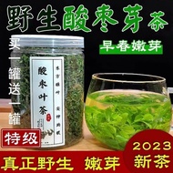 Sour Date Tea Sour Date Kernel Health Tea Wild Sprout Sprout Sprout Taishan Sour Date Sprout Tea Sou
