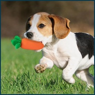 Snuffle Mat For Dogs Dog Chewing Toys Dog Enrichment Toys with Carrots Plush Toys for Dog Pet Chewin